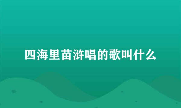 四海里苗浒唱的歌叫什么