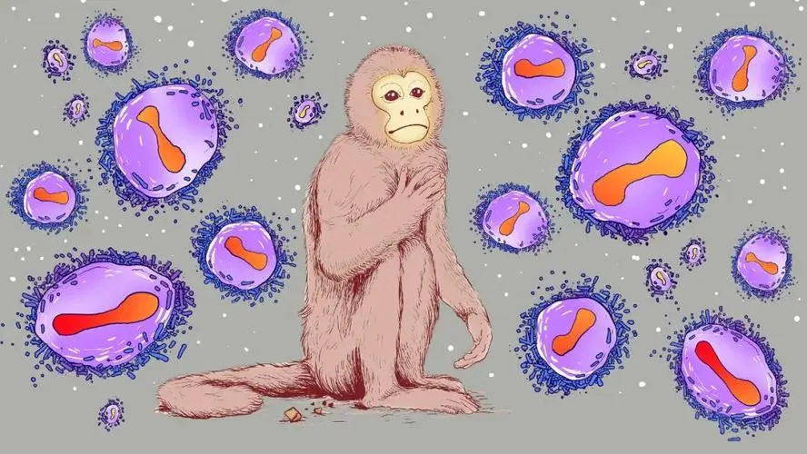 猴痘疫情快速报告：这种病毒究竟是什么？传染性怎么样？