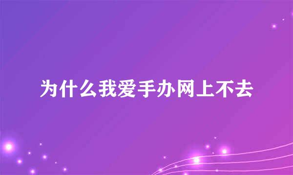 为什么我爱手办网上不去