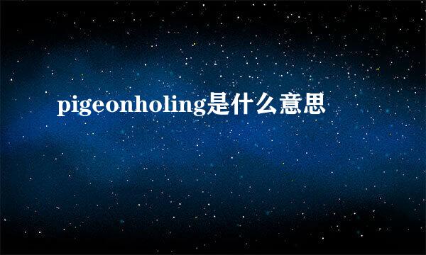 pigeonholing是什么意思