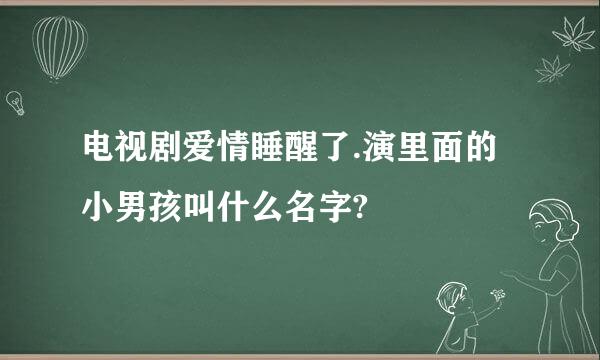 电视剧爱情睡醒了.演里面的小男孩叫什么名字?