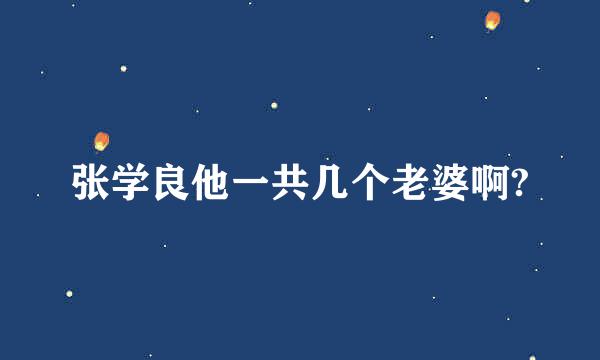 张学良他一共几个老婆啊?