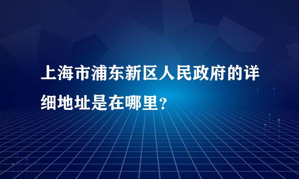上海市浦东新区人民政府的详细地址是在哪里？