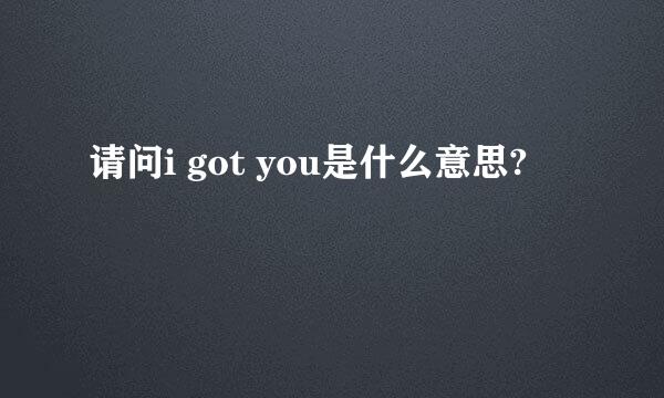 请问i got you是什么意思?