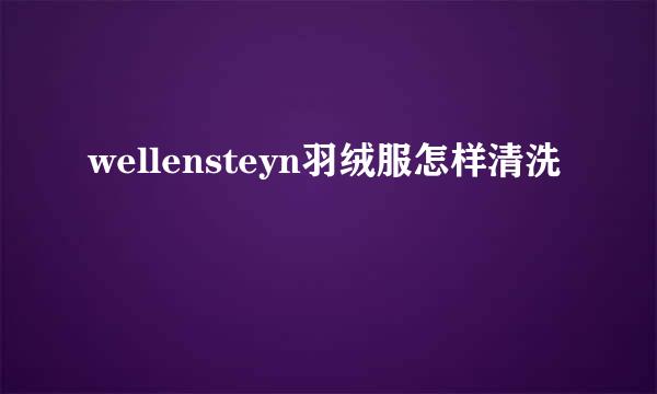 wellensteyn羽绒服怎样清洗