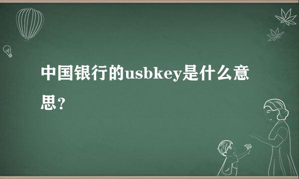 中国银行的usbkey是什么意思？