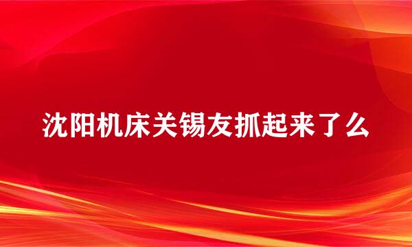 沈阳机床关锡友抓起来了么