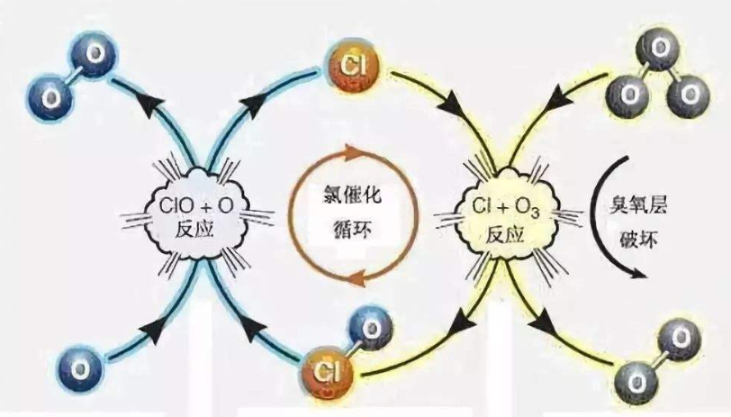 臭氧层破坏的原因是什么？