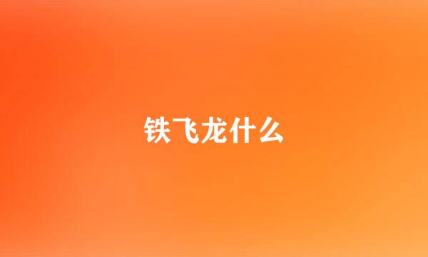 铁飞龙什么