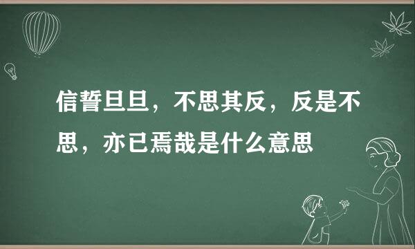 信誓旦旦，不思其反，反是不思，亦已焉哉是什么意思