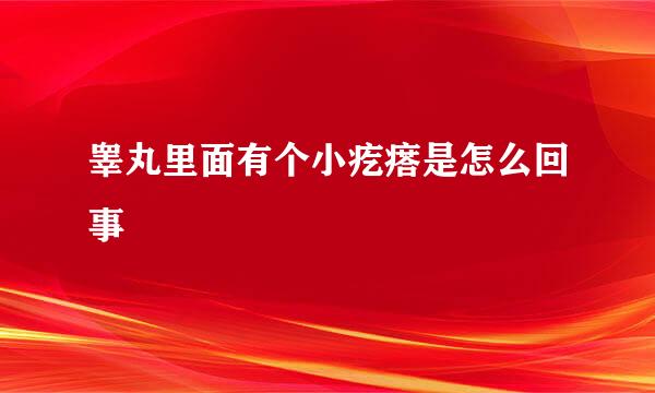 睾丸里面有个小疙瘩是怎么回事