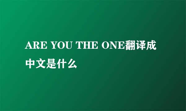 ARE YOU THE ONE翻译成中文是什么