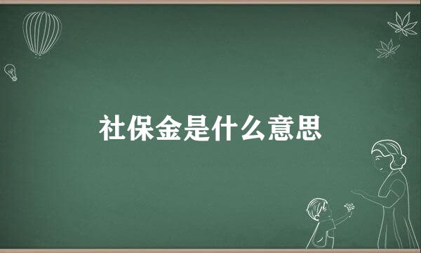 社保金是什么意思