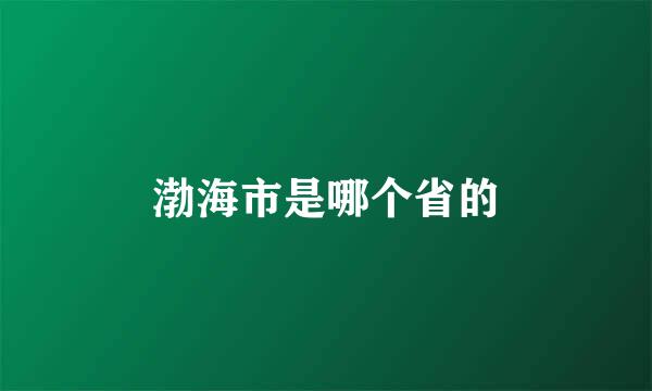 渤海市是哪个省的