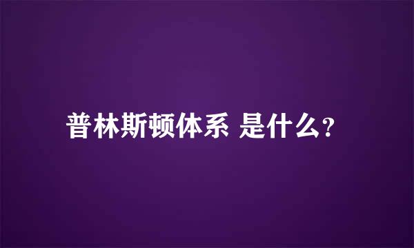 普林斯顿体系 是什么？