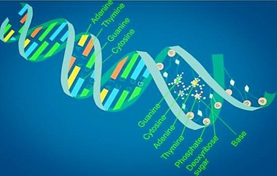 生物科学类包括哪些专业