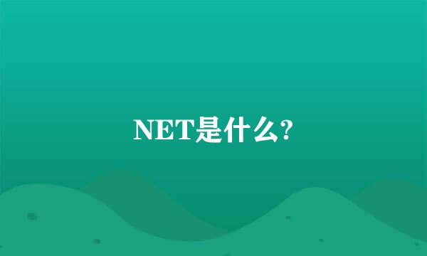 NET是什么?