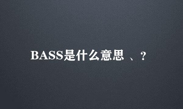 BASS是什么意思 、？