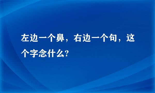 左边一个鼻，右边一个句，这个字念什么?