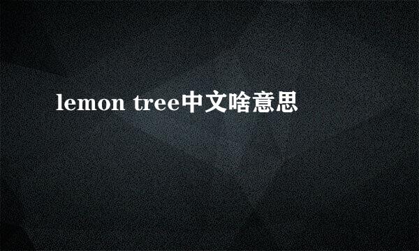 lemon tree中文啥意思