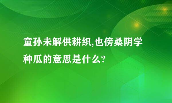 童孙未解供耕织,也傍桑阴学种瓜的意思是什么?