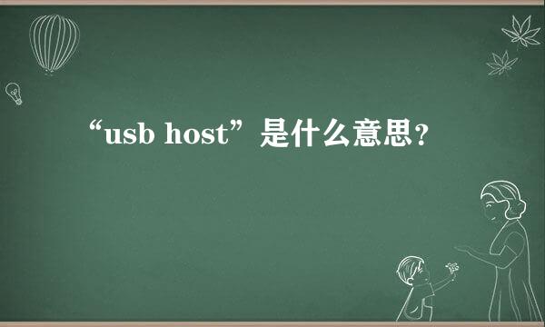 “usb host”是什么意思？