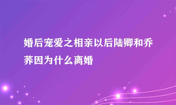 婚后宠爱之相亲以后陆卿和乔荞因为什么离婚