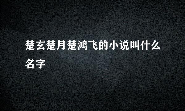 楚玄楚月楚鸿飞的小说叫什么名字