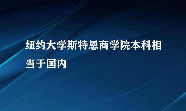 纽约大学斯特恩商学院本科相当于国内