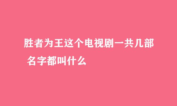 胜者为王这个电视剧一共几部 名字都叫什么