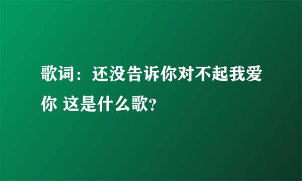 歌词：还没告诉你对不起我爱你 这是什么歌？