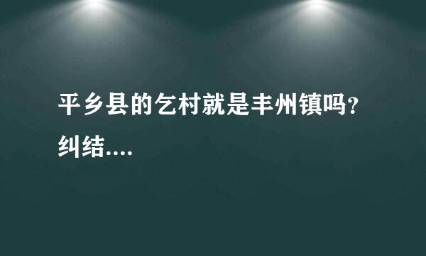 平乡县的乞村就是丰州镇吗？纠结....