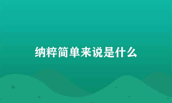 纳粹简单来说是什么