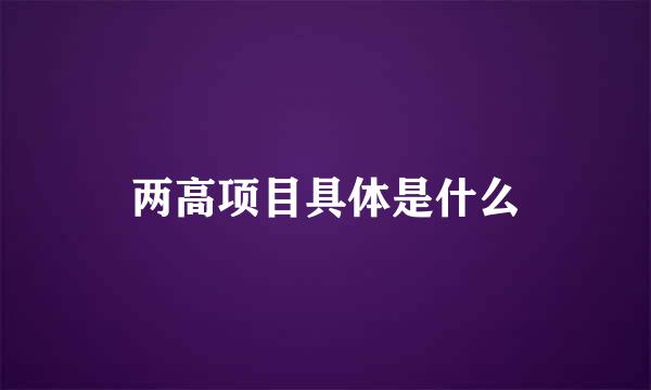 两高项目具体是什么