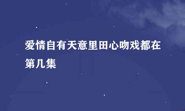 爱情自有天意里田心吻戏都在第几集