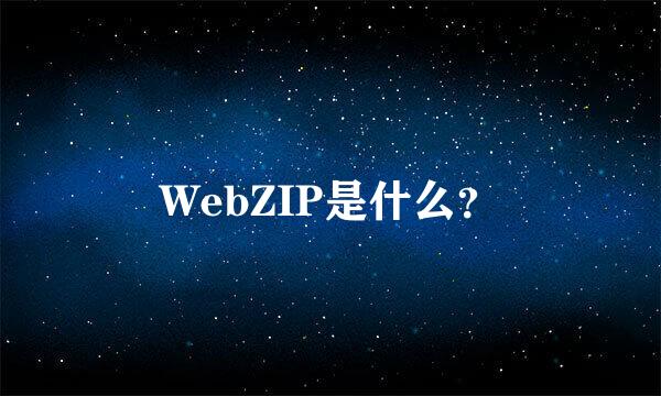 WebZIP是什么？