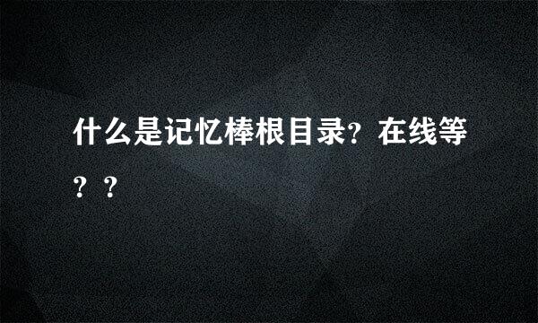 什么是记忆棒根目录？在线等？？