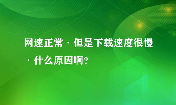 网速正常·但是下载速度很慢·什么原因啊？