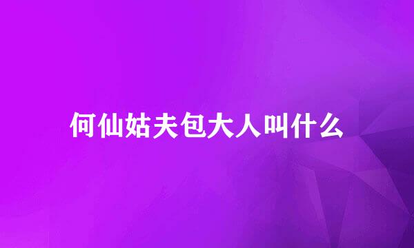 何仙姑夫包大人叫什么