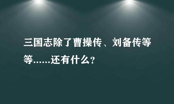 三国志除了曹操传、刘备传等等......还有什么？