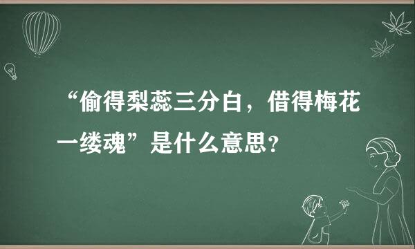 “偷得梨蕊三分白，借得梅花一缕魂”是什么意思？