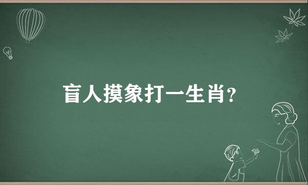 盲人摸象打一生肖？