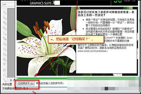 如何用coreldraw x4序列号激活程序