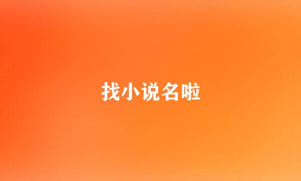 找小说名啦