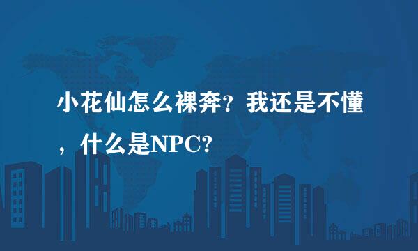 小花仙怎么裸奔？我还是不懂，什么是NPC?