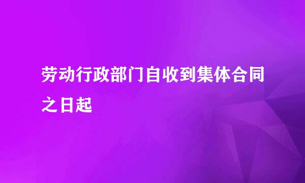 劳动行政部门自收到集体合同之日起