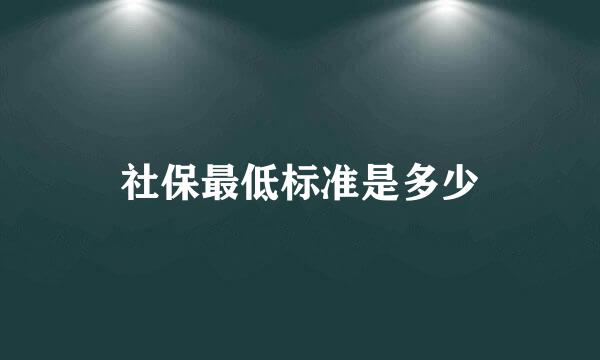 社保最低标准是多少