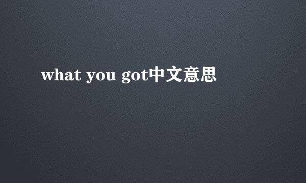 what you got中文意思