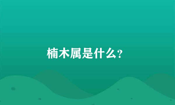 楠木属是什么？