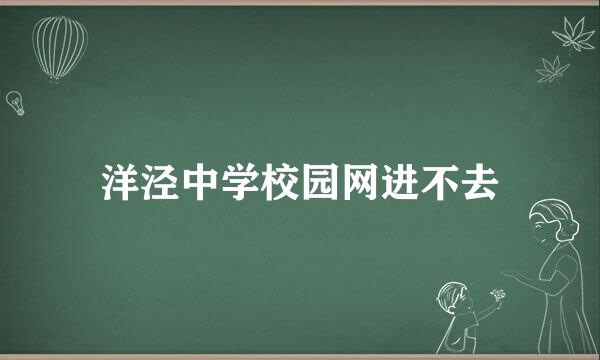 洋泾中学校园网进不去